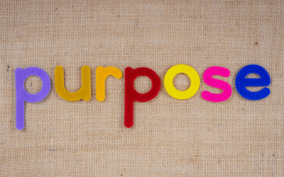 Eps 012 – Oops, there goes my purpose