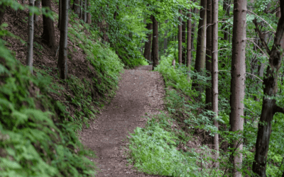 Eps 018 – An Experiential Hike with Your Guide